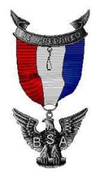 Eagle Scout Badge